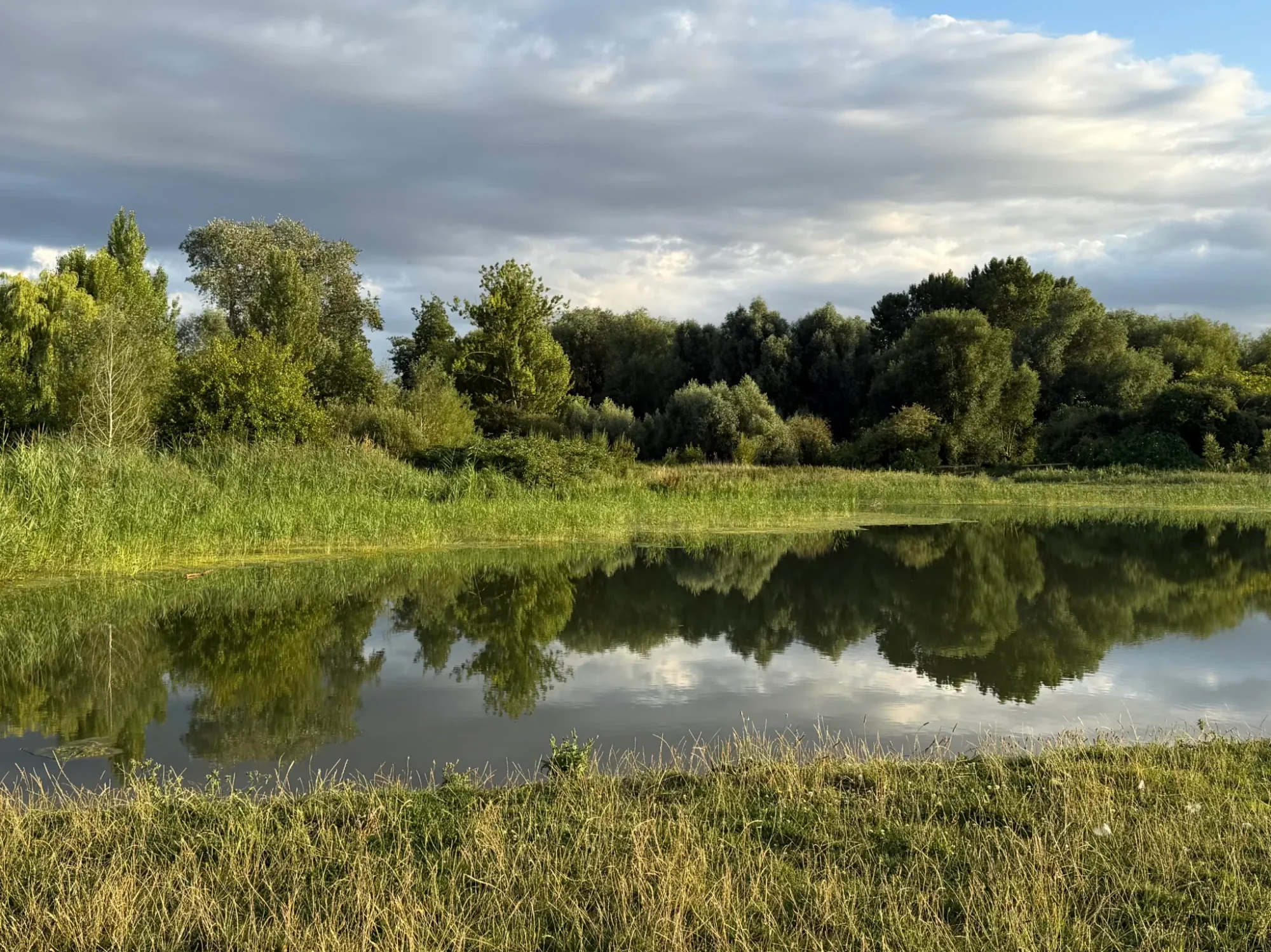 Logan's Meadow Wetland