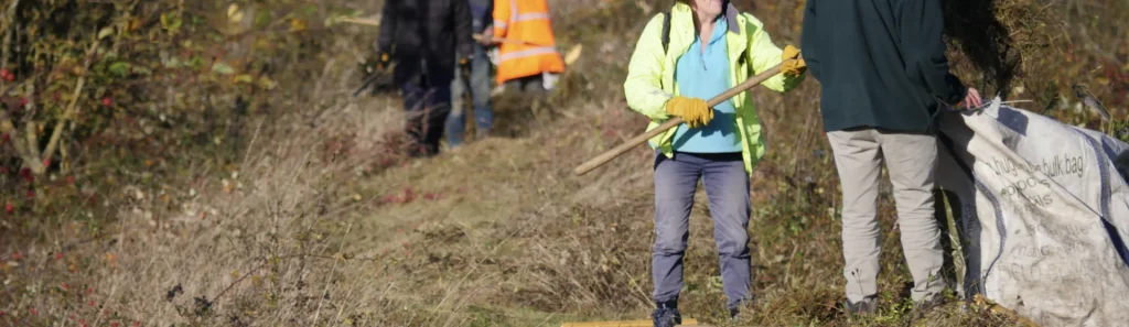 Volunteers digging in a meadow