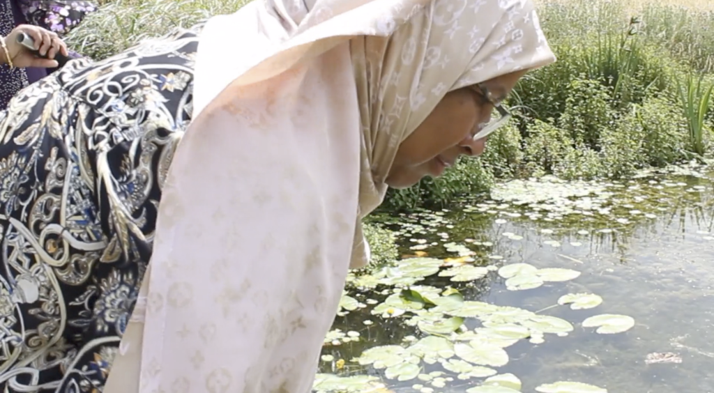 Woman peers into a pond